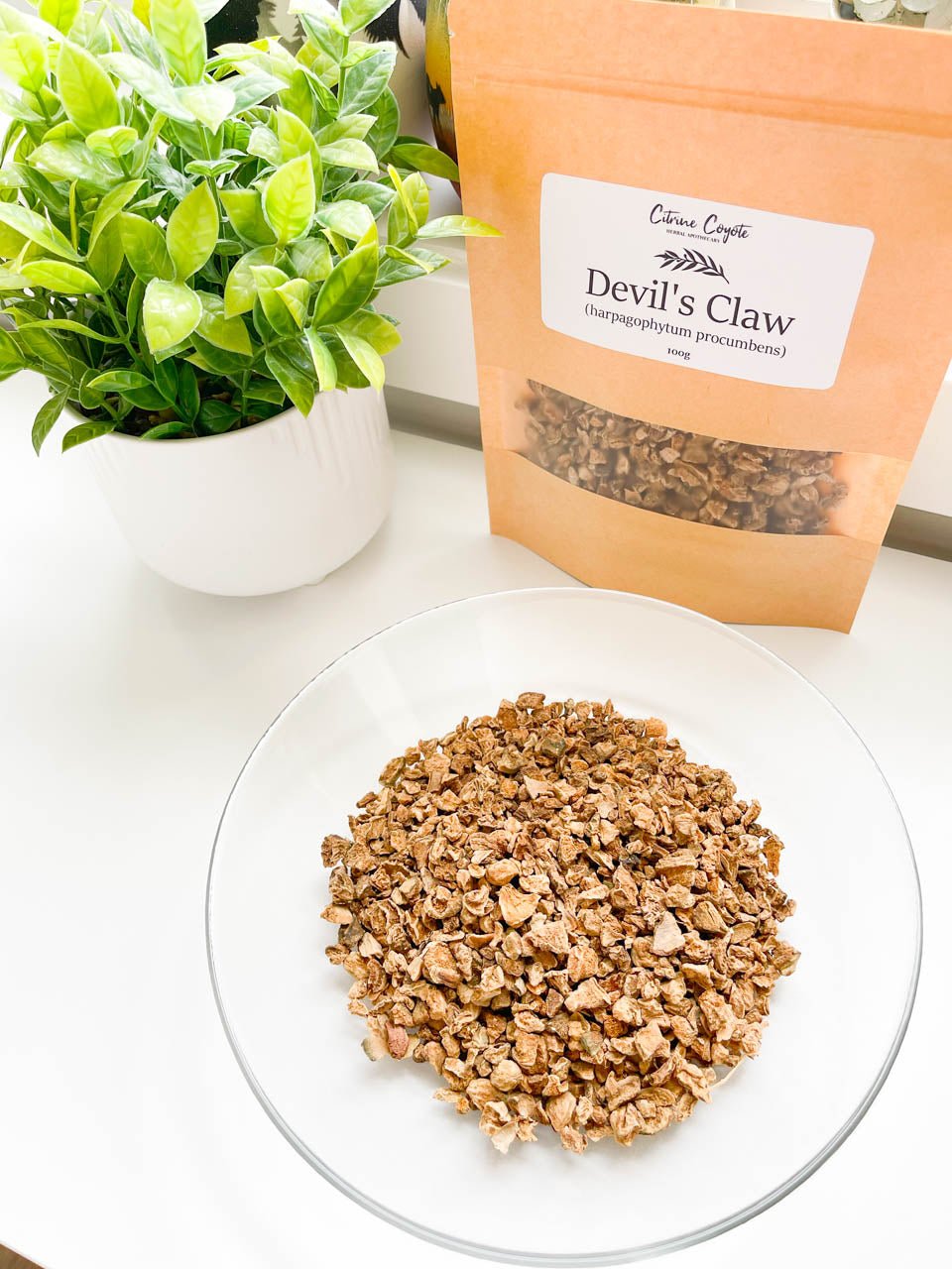 DEVIL'S CLAW BULK | Organic | Harpagophytum procumbens