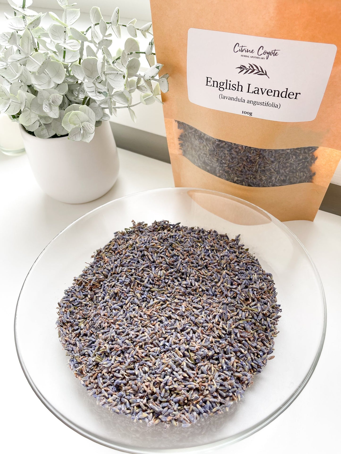 ENGLISH LAVENDER BULK | Lavandula angustifolia