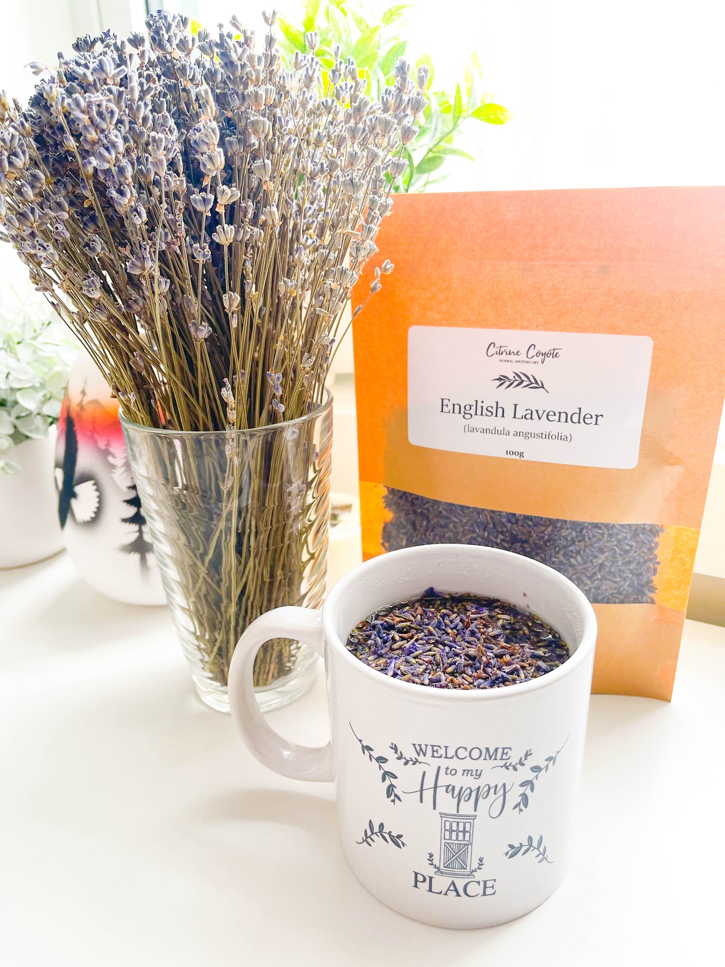 ENGLISH LAVENDER BULK | Lavandula angustifolia