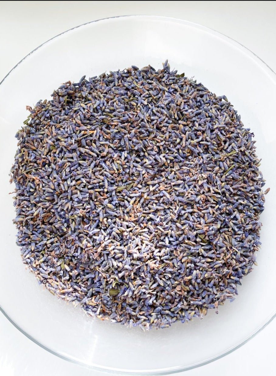 ENGLISH LAVENDER BULK | Lavandula angustifolia