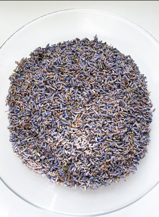 ENGLISH LAVENDER BULK | Lavandula angustifolia