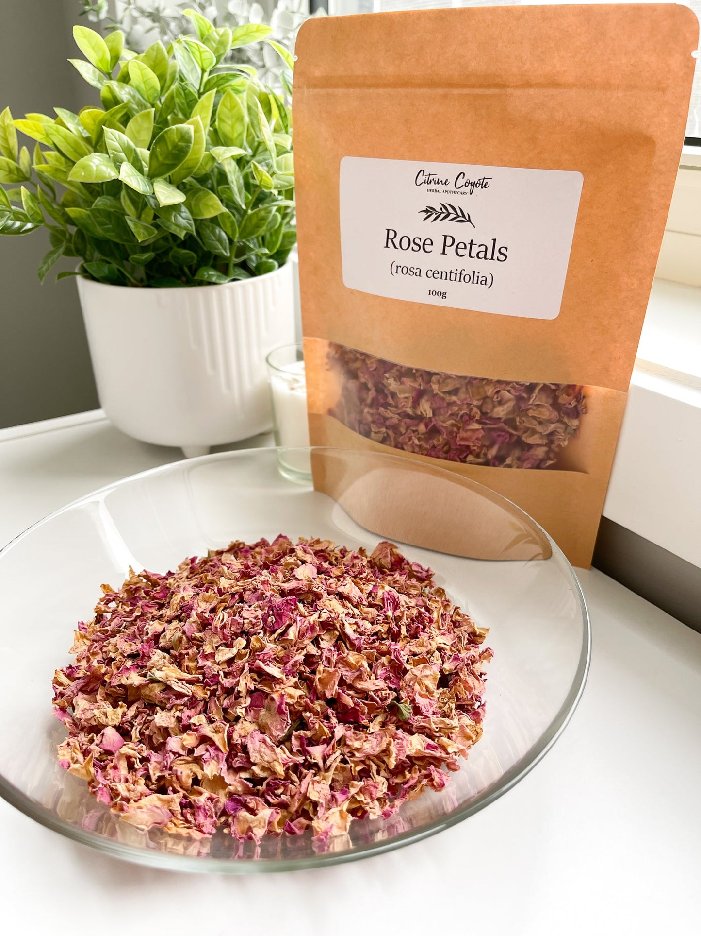 PINK ROSE PETALS | Organic | Rosa centifolia