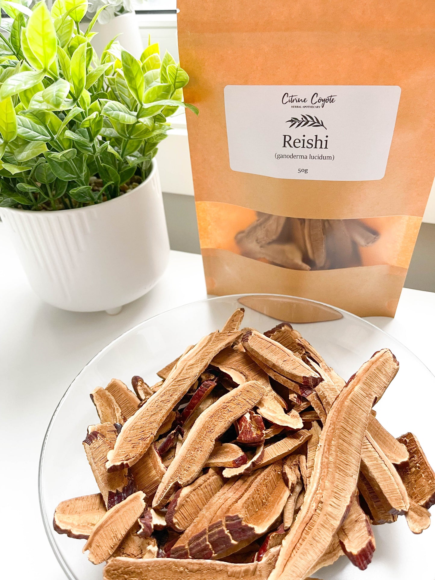 REISHI SLICES BULK | Organic | Ganoderma lingzhi